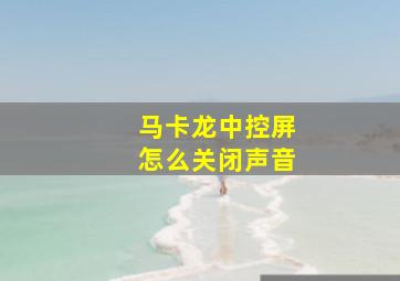 马卡龙中控屏怎么关闭声音