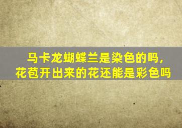 马卡龙蝴蝶兰是染色的吗,花苞开出来的花还能是彩色吗