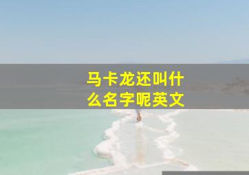 马卡龙还叫什么名字呢英文