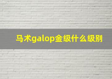 马术galop金级什么级别