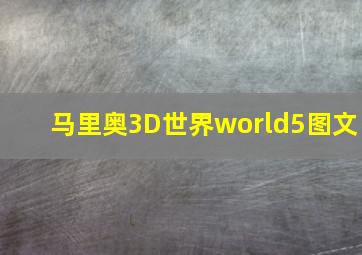 马里奥3D世界world5图文