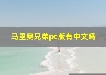 马里奥兄弟pc版有中文吗