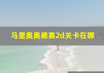 马里奥奥德赛2d关卡在哪