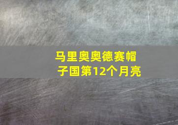 马里奥奥德赛帽子国第12个月亮