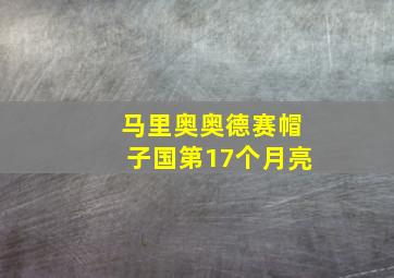 马里奥奥德赛帽子国第17个月亮