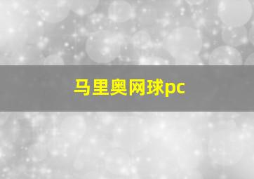 马里奥网球pc