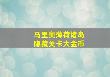 马里奥薄荷诸岛隐藏关卡大金币