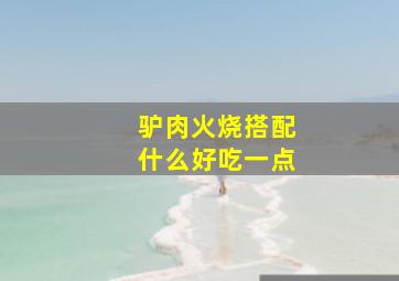 驴肉火烧搭配什么好吃一点