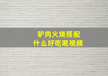 驴肉火烧搭配什么好吃呢视频