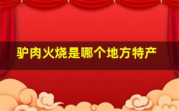 驴肉火烧是哪个地方特产