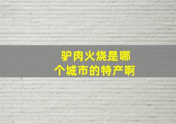 驴肉火烧是哪个城市的特产啊