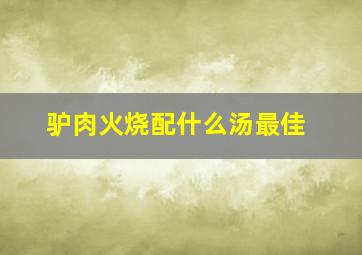 驴肉火烧配什么汤最佳