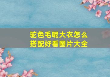 驼色毛呢大衣怎么搭配好看图片大全