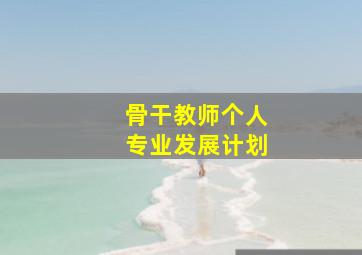 骨干教师个人专业发展计划