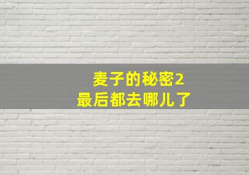 麦子的秘密2最后都去哪儿了