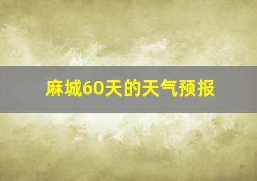 麻城60天的天气预报