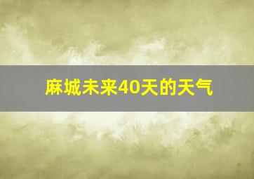 麻城未来40天的天气