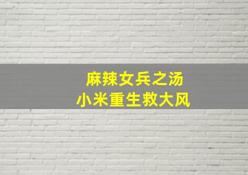 麻辣女兵之汤小米重生救大风