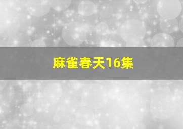 麻雀春天16集