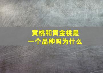 黄桃和黄金桃是一个品种吗为什么