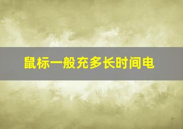 鼠标一般充多长时间电