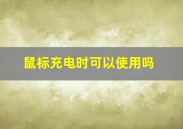 鼠标充电时可以使用吗