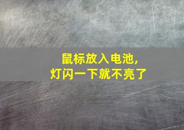 鼠标放入电池,灯闪一下就不亮了