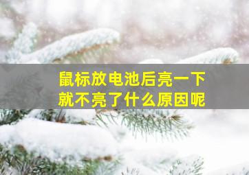 鼠标放电池后亮一下就不亮了什么原因呢