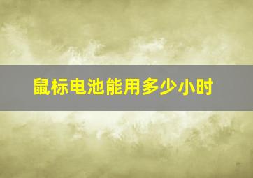 鼠标电池能用多少小时