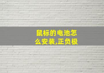 鼠标的电池怎么安装,正负极