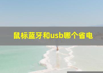 鼠标蓝牙和usb哪个省电