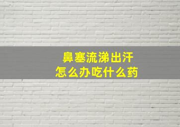 鼻塞流涕出汗怎么办吃什么药