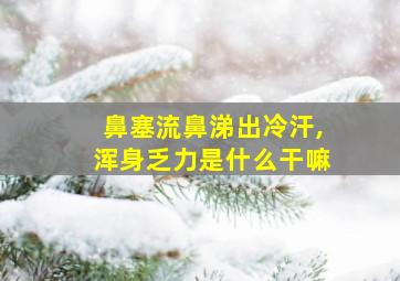 鼻塞流鼻涕出冷汗,浑身乏力是什么干嘛