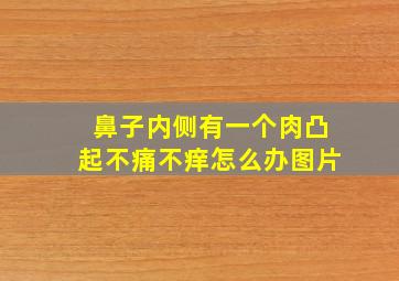 鼻子内侧有一个肉凸起不痛不痒怎么办图片