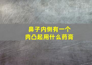 鼻子内侧有一个肉凸起用什么药膏