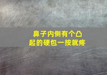 鼻子内侧有个凸起的硬包一按就疼