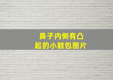 鼻子内侧有凸起的小鼓包图片