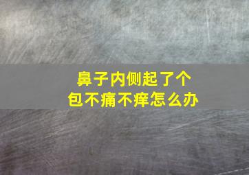 鼻子内侧起了个包不痛不痒怎么办