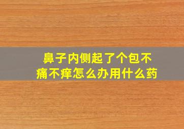 鼻子内侧起了个包不痛不痒怎么办用什么药