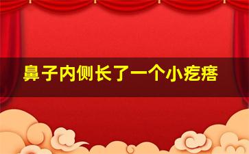 鼻子内侧长了一个小疙瘩