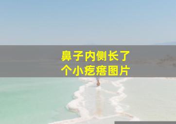 鼻子内侧长了个小疙瘩图片