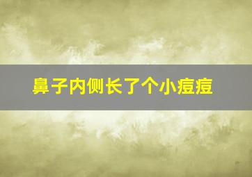 鼻子内侧长了个小痘痘