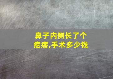 鼻子内侧长了个疙瘩,手术多少钱