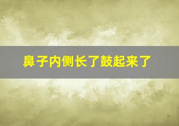 鼻子内侧长了鼓起来了