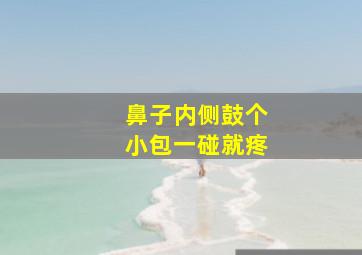 鼻子内侧鼓个小包一碰就疼