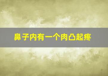 鼻子内有一个肉凸起疼