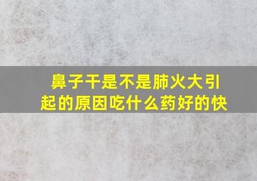 鼻子干是不是肺火大引起的原因吃什么药好的快