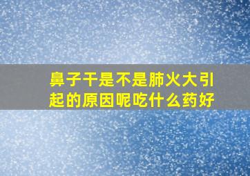 鼻子干是不是肺火大引起的原因呢吃什么药好