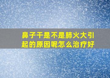 鼻子干是不是肺火大引起的原因呢怎么治疗好