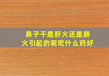 鼻子干是肝火还是肺火引起的呢吃什么药好